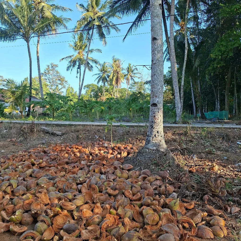 Produk UMKM sabut kelapa Desa Nambangan